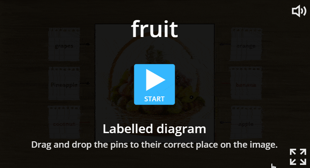 Labelled_Diagram-min.gif