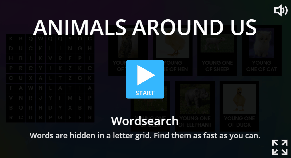 Wordsearch.gif